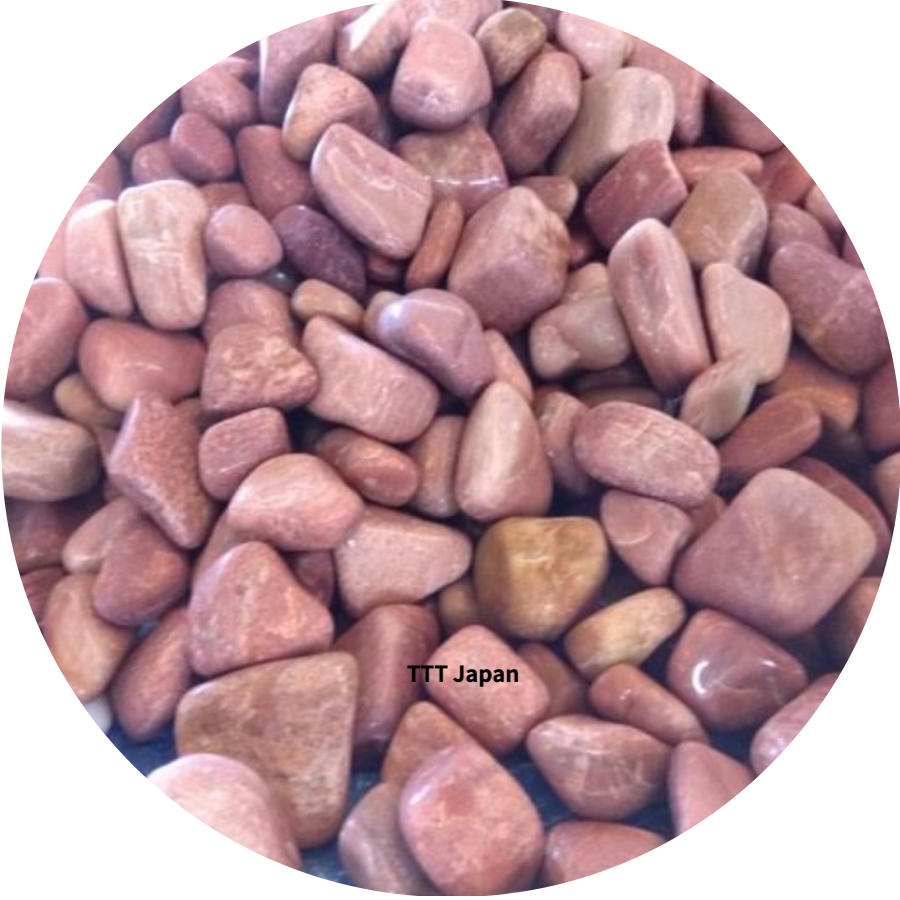 製品を知る│ホームページ2023